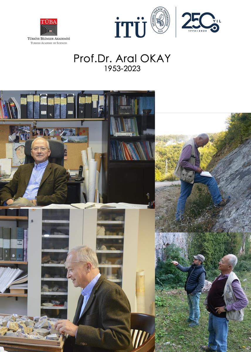 Prof.Dr. Aral Okay