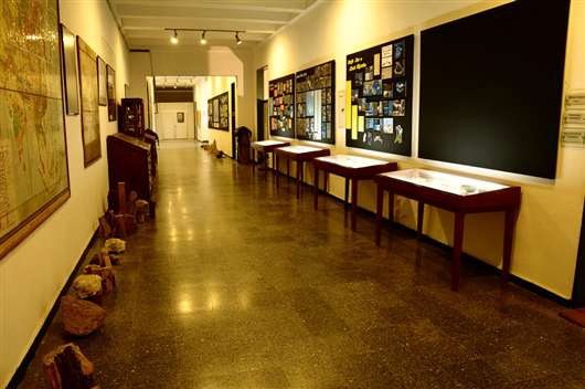 İhsan Ketin Doğa Tarihi Müzesi